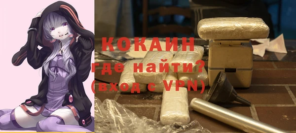 меф Няндома