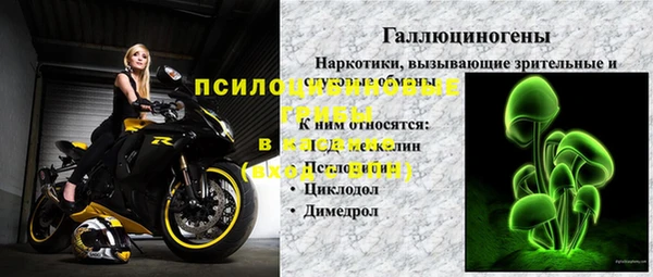 СК Нефтекумск