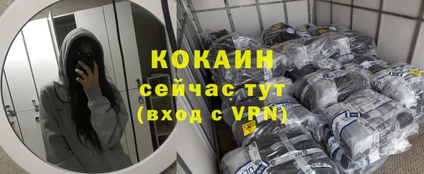меф Няндома
