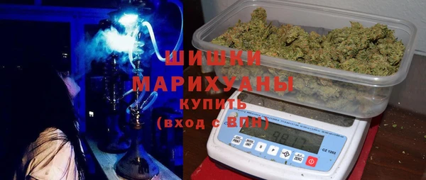 гидра Нея