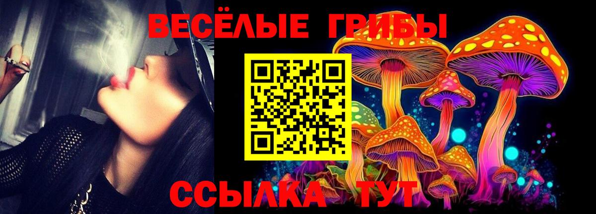 Псилоцибиновые грибы Psilocybe Балашов